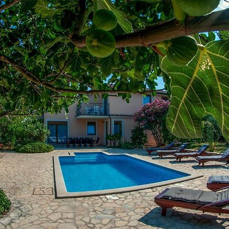 House /Villa Maja Ližnjan Dış mekan fotoğraf