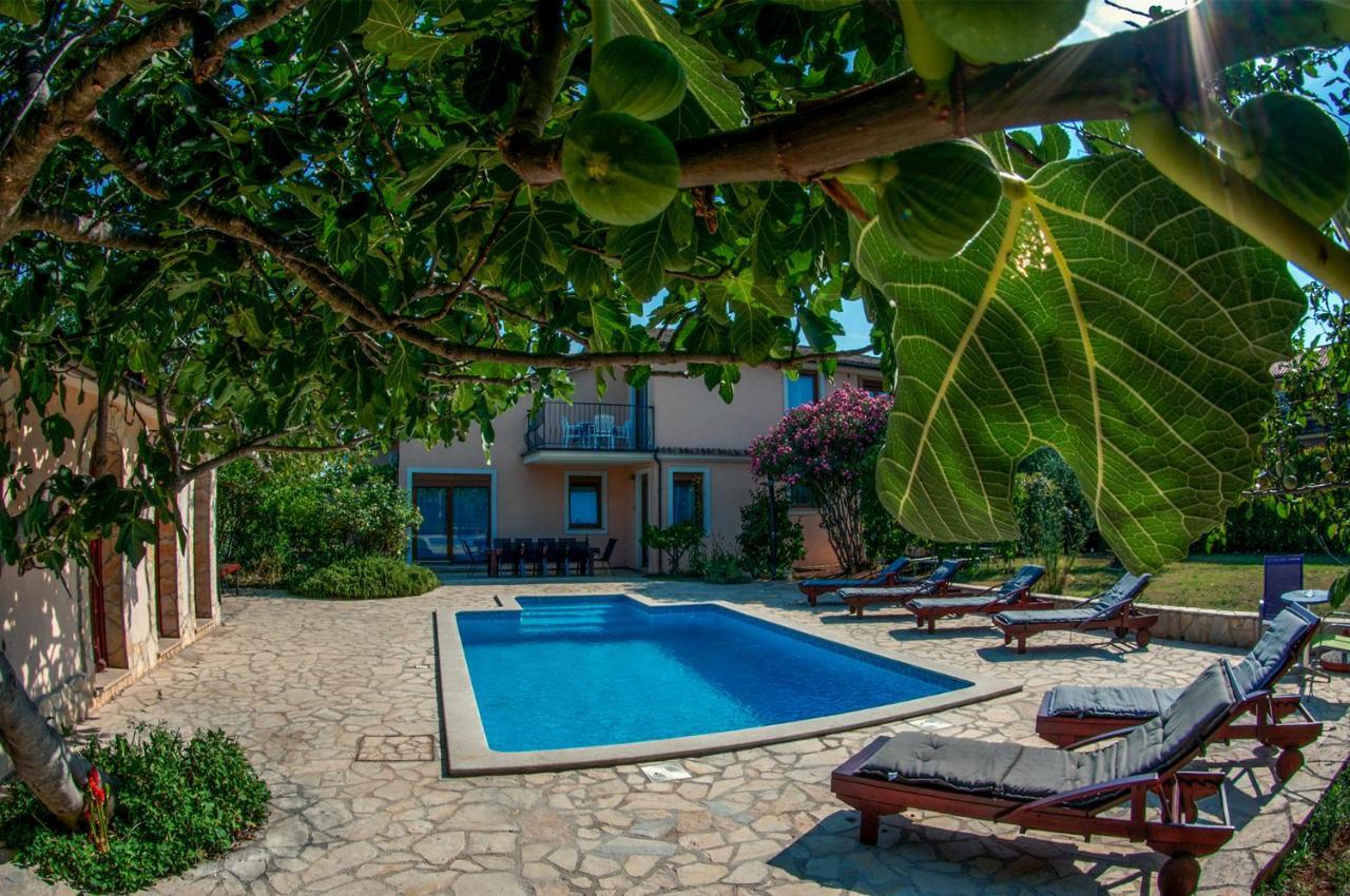 House /Villa Maja Ližnjan Dış mekan fotoğraf