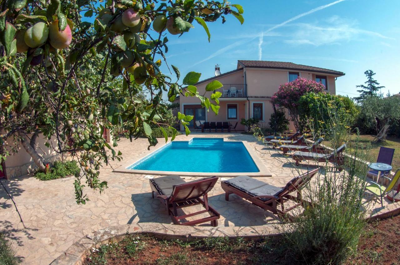 House /Villa Maja Ližnjan Dış mekan fotoğraf