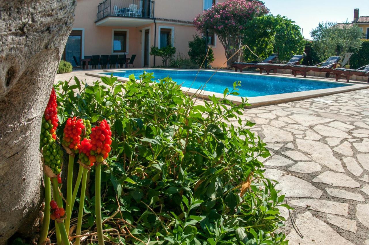 House /Villa Maja Ližnjan Dış mekan fotoğraf